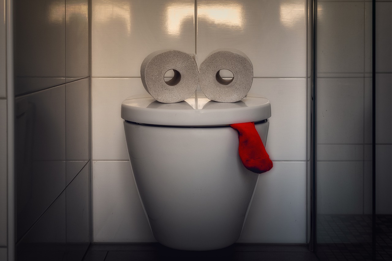 www.pixabay.com
