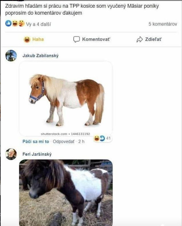 instagram.com
