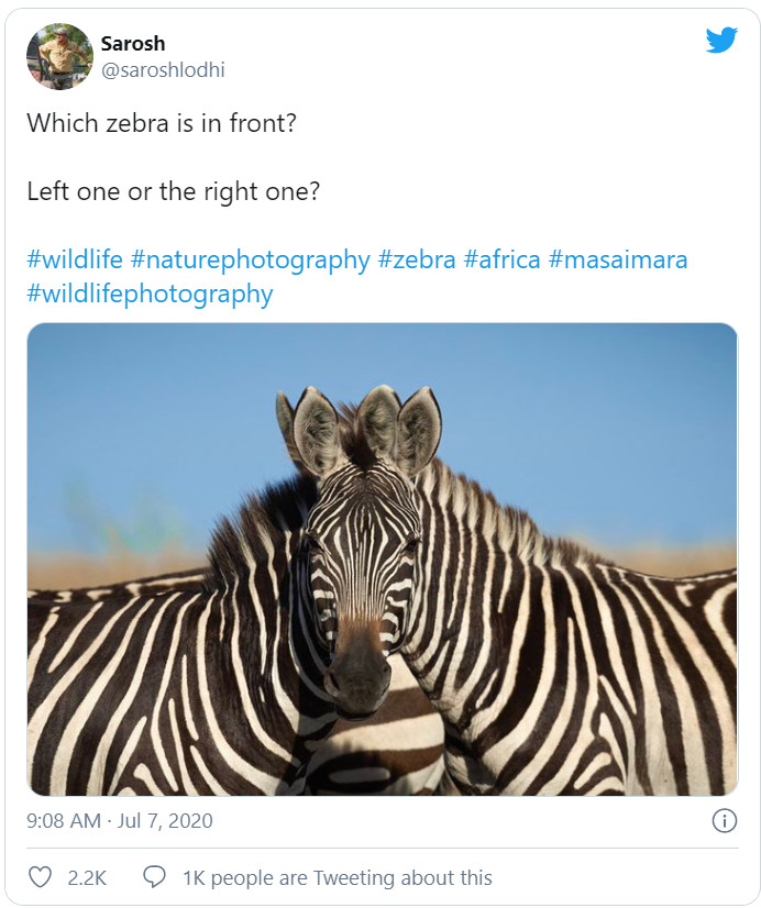 twitter.com