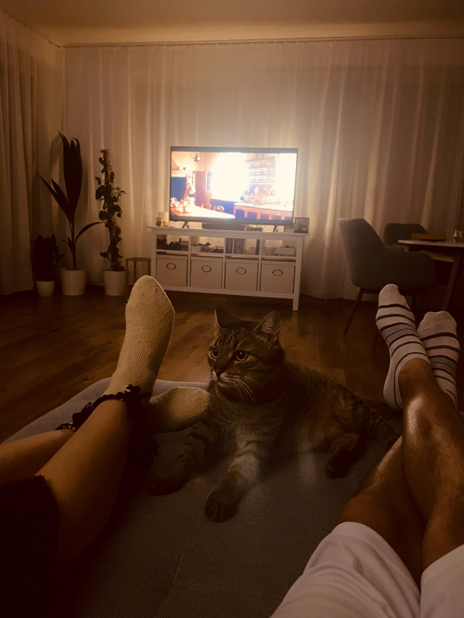 Zdroj: Buba